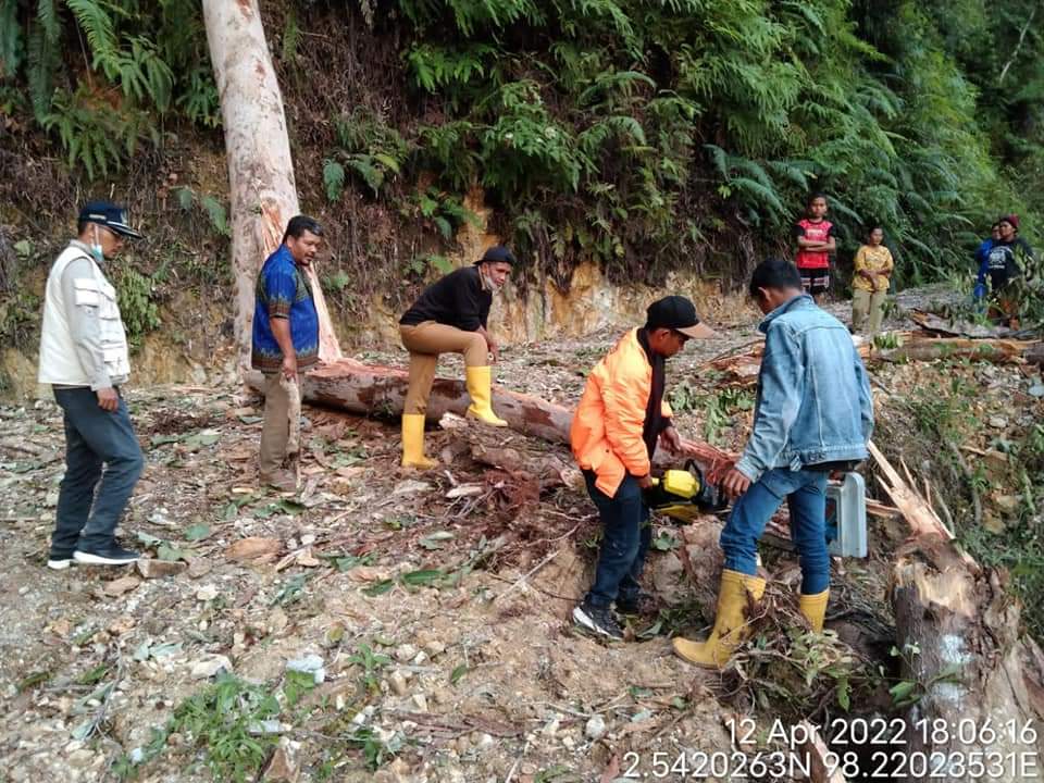 BPBD Pakpak Bharat Evakuasi Pohon Tumbang Menutup Jalan Lagan Pagindar