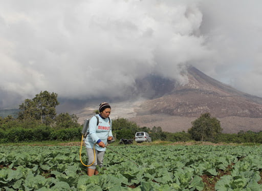 Petani di lingkar Gunung Api Sinabung.