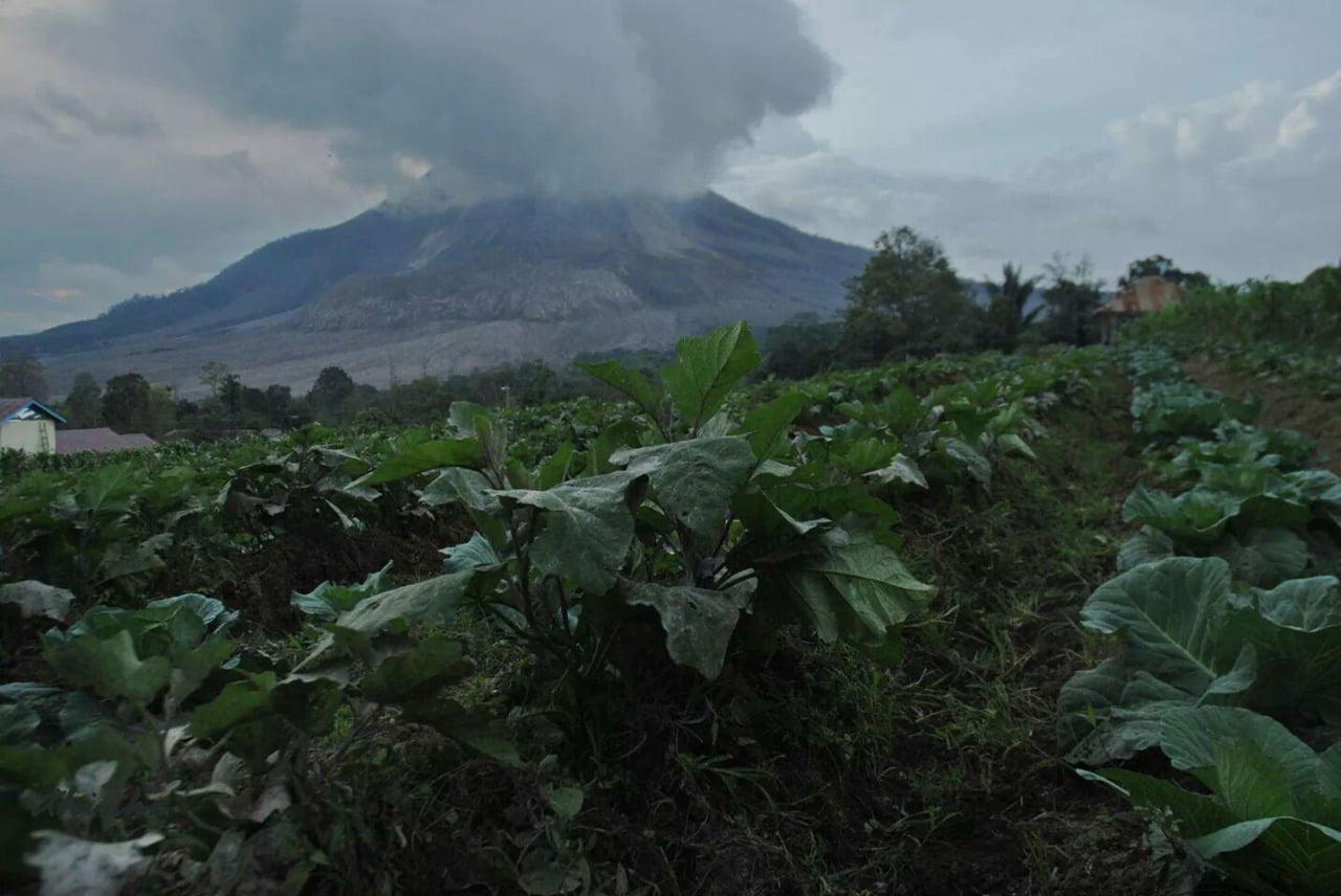Erupsi vulkanik Gunung Sinabung