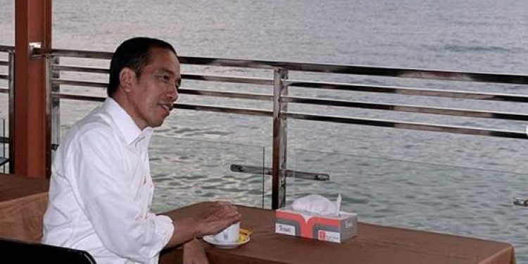 Presiden Jokowt menikmati keindahan panorama Danau Toba