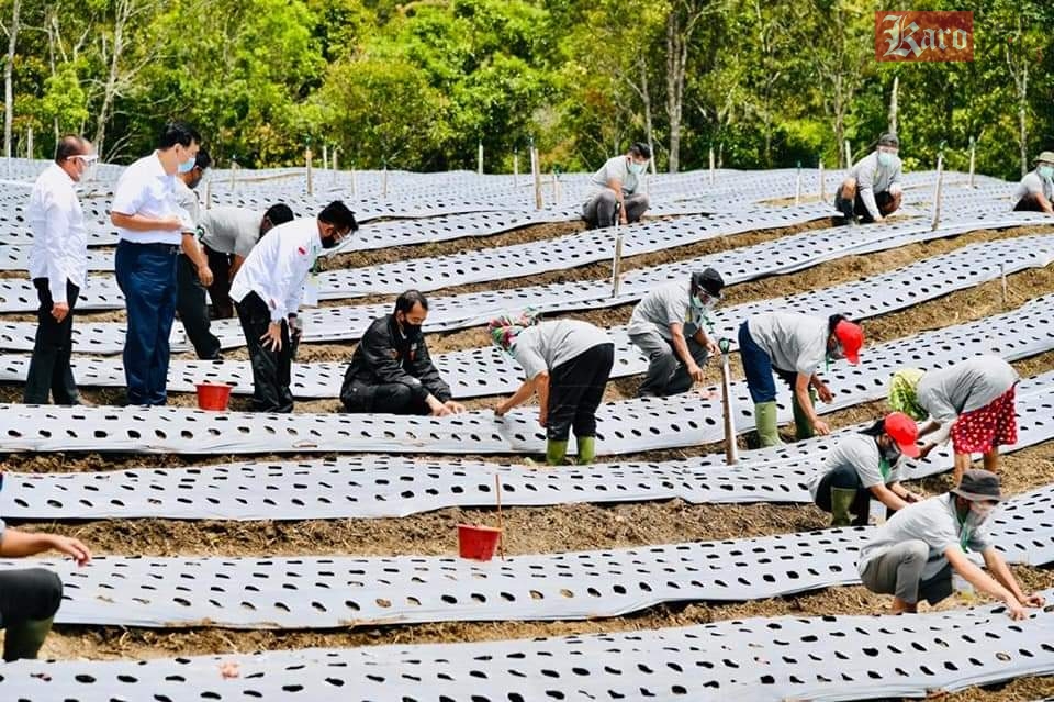 Presiden Joko Widodo pada 27 Oktober 2020 meresmikan food estate Sumut di Humbahas.
