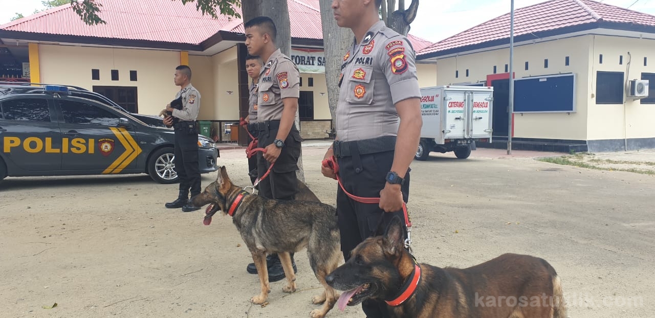 Basarnas Libatkan Anjing K9 dan Alfa dalam Pencarian Korban Gempa