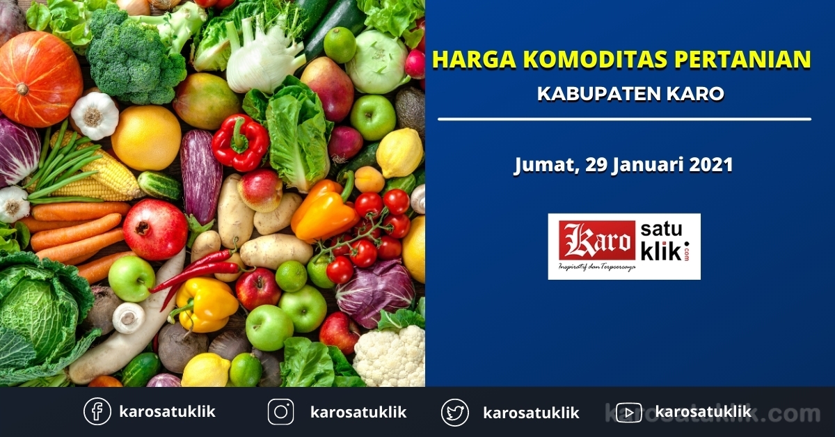 Daftar Harga Komoditas Pertanian Kabupaten Karo, 29 Januari 2021