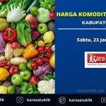 Harga komoditas Kbupaten Karo 23 januari 2021