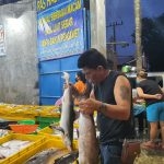 Ikan Tuna dan Cakalang Indonesia Segera Masuk Pasar Amerika dan Eropa
