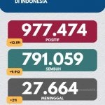 Kini Ada 977.474 Kasus Covid-19 di Indonesia