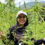 Ini Sosok Kompol Ocha Dibalik Pengungkapan Ladang Ganja 12 Hektare di Sumatera Utara