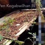 Terbongkarnya Gua dan Pos Tinjau Gerilya KKB Papua