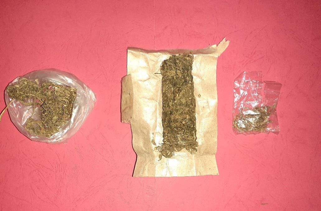 Barang Bukti ganja kering