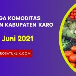 Daftar Harga Komoditas Pertanian Kabupaten Karo, Sabtu 12 Juni 2021