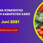 Daftar Harga Komoditas Pertanian Kabupaten karo 28 Juni 2021
