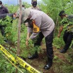 Kapolres Dairi AKBP Ferio Sano Ginting Ungkap Ladang Ganja di Dairi