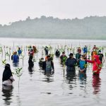 Presiden melakukan penanaman mangrove bersama masyarakat