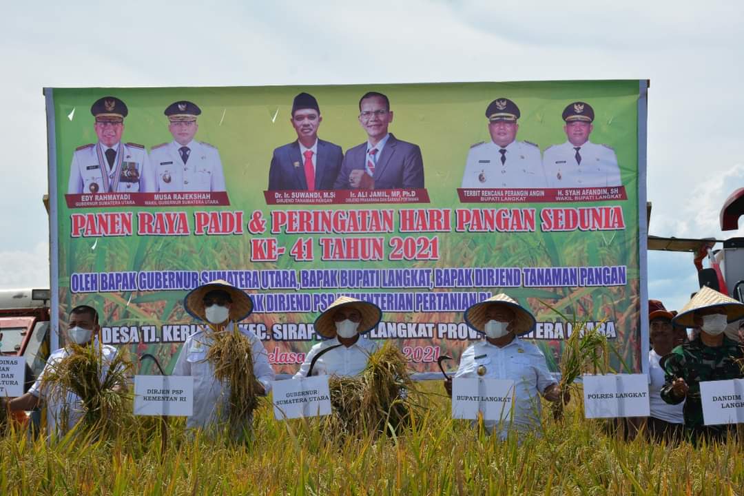 Pemerintah Kabupaten Langkat panen padi raya di Kecamatan Sirapit Kabupaten Langkat, Selasa (26/10/2021).