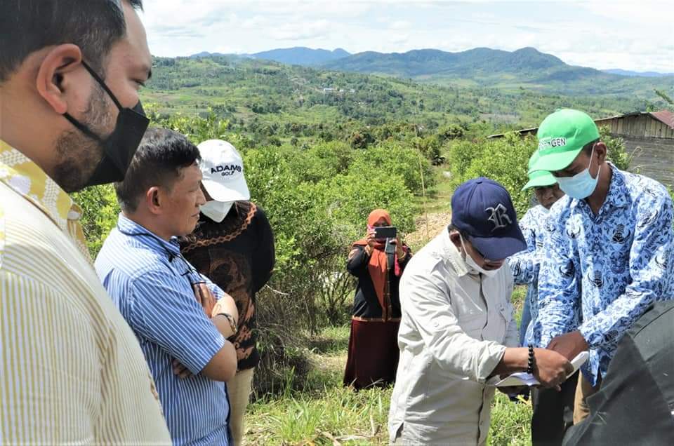 Tahap Awal Sekitar 500 Hektar Pertanian Jagung Pakpak Bharat Dipusatkan di Kecamatan STTU Julu