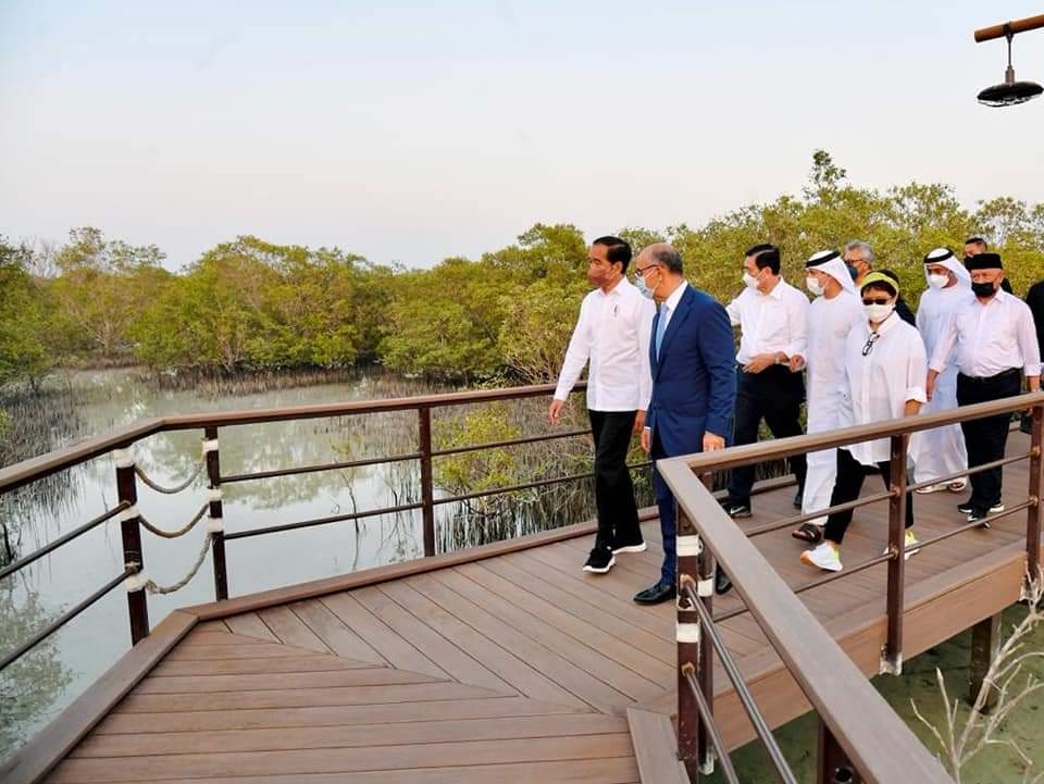 Setelah bertemu dengan Putra Mahkota Abu Dhabi, Sheikh Mohammed bin Zayed Al Nahyan (MBZ) di Istana Al-Shatie, Presiden Joko Widodo meninjau Jubail Mangrove Park yang terletak di Pulau Al Jubail, Abu Dhabi, Persatuan Emirat Arab (PEA), pada Rabu sore, 3 November 2021.