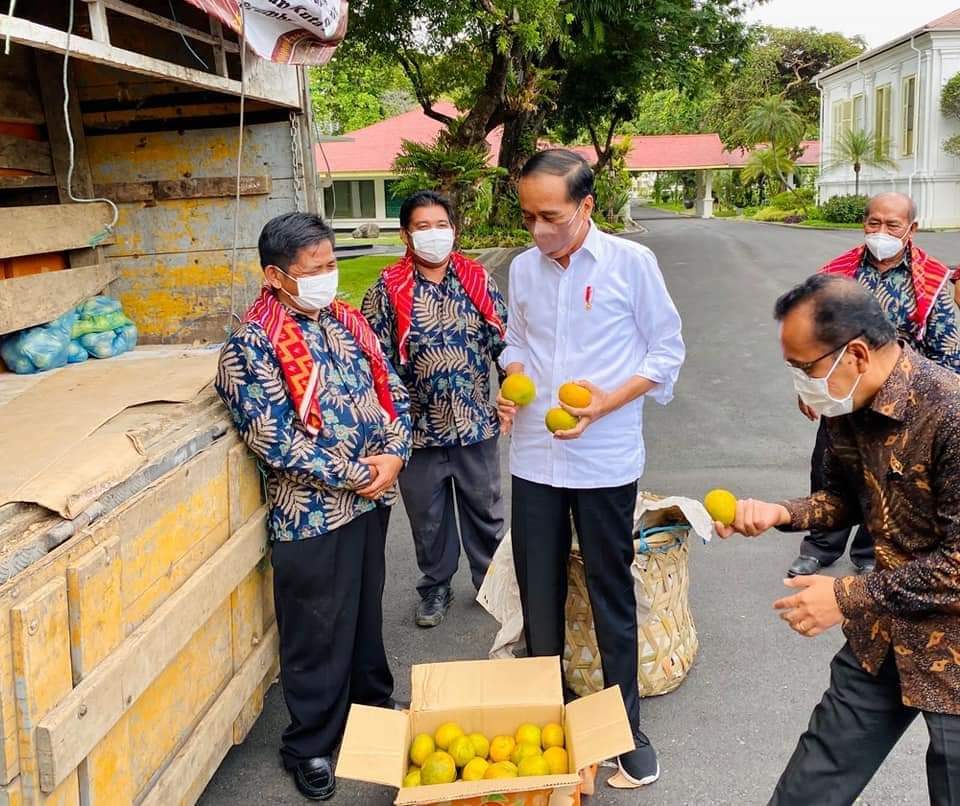 Presiden Joko Widodo (Jokowi) menerima warga dari Liang Melas Datas, Karo, Sumatera Utara (Sumut) yang meminta jalan di wilayahnya diperbaiki sambil membawa satu truk jeruk. Jokowi mengatakan telah memerintahkan Kementerian PUPR memperbaiki jalan itu.