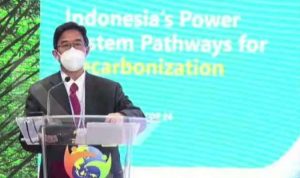 Buntut dari persoalan kritisnya pasokan batu bara PT PLN (Persero), Presiden Joko Widodo (Jokowi) secara tegas mencabut Izin Usaha Pertambangan (IUP) yang tak mematuhi aturan pemenuhan pasokan batu bara untuk kepentingan dalam negeri (Domestic Market Obligation/ DMO).