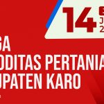 Daftar Harga Komoditas Pertanian Kabupaten Karo, 14 Januari 2022