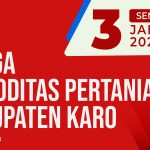 Daftar Harga Komoditas Pertanian Kabupaten Karo, 3 Januari 2022