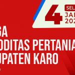 Daftar Harga Komoditas Pertanian Kabupaten Karo, 4 Januari 2022