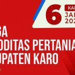 Daftar Harga Komoditas Pertanian Kabupaten Karo, 6 Januari 2022