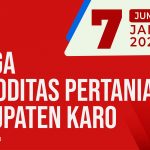 Daftar Harga Komoditas Pertanian Kabupaten Karo, 7 Januari 2022