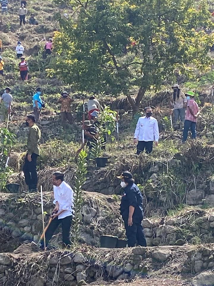 Jokowi Ajak Bupati Pakpak Bharat Menanam Pohon