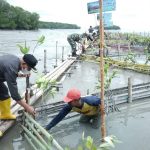 Bupati Asahan H. Surya, BSc bersama unsur Forokopimda Kabupaten Asahan menanam 10.000 pohon mangrove di Wisata Alam Mangrove Desa Silo Baru Kecamatan Silau Laut, Kamis (10/03/2022).