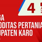 Daftar Harga Komoditas Pertanian Kabupaten Karo, Senin 4 April 2022