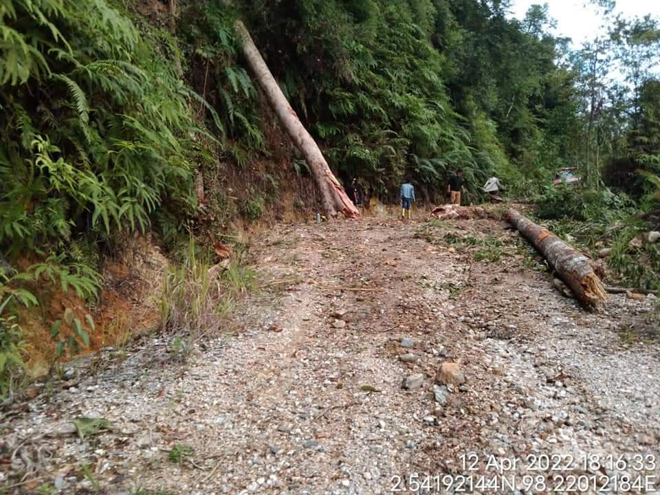 Sebuah pohon besar tumbang dan menutup badan jalan penghubung Kota Salak menuju Kecamatan Pagindar tepatnya di Bantun Kiung Kerambaken, Kabupaten Pakpak Bharat, Selasa (12/04/2022).