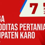 Daftar Harga Komoditas Pertanian Kabupaten Karo, Kamis 7 April 2022