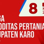 Daftar Harga Komoditas Pertanian Kabupaten Karo, Jumat 8 April 2022