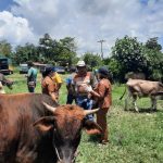 FB_IMG_1652168206668 Setelah Covid-19 Menyerang Manusia, Kini Wabah PMK Menyerang Hewan: 598 Hewan Ternak di Sumut Suspek, Ini Sebaran Daerahnya