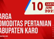10 6