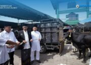 FB_IMG_1749284484019