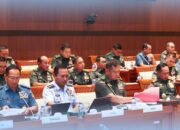 FB_IMG_1751535023959