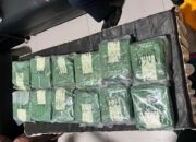 FB_IMG_1753439454805