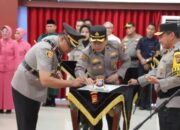 IMG-20250715-WA0062_copy_640x426