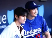 26_1022286_37611-1545712142