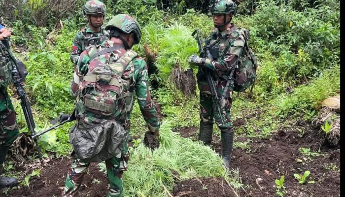 FB_IMG_1759027218026