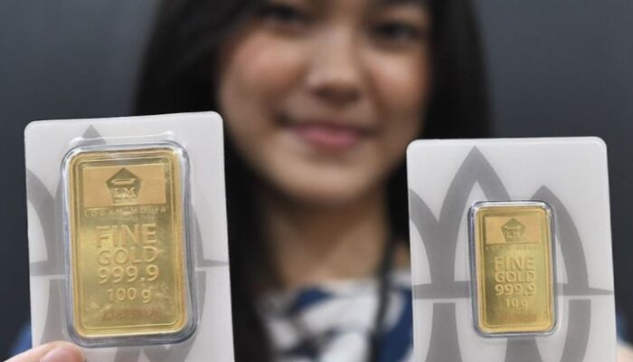 CREATOR: gd-jpeg v1.0 (using IJG JPEG v62), quality = 80?