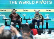 FB_IMG_1760629807804