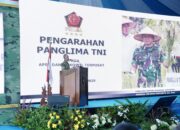 FB_IMG_1763117295446