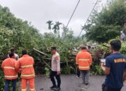 FB_IMG_1764246016925