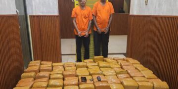 IMG-20251115-WA00941