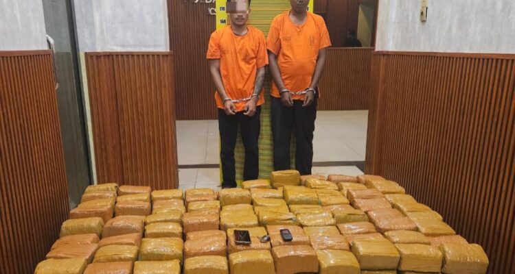 IMG-20251115-WA00941