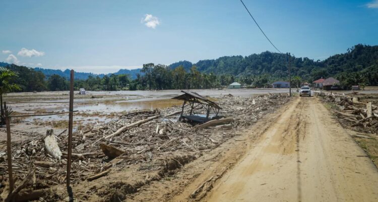 FB_IMG_1764845579589