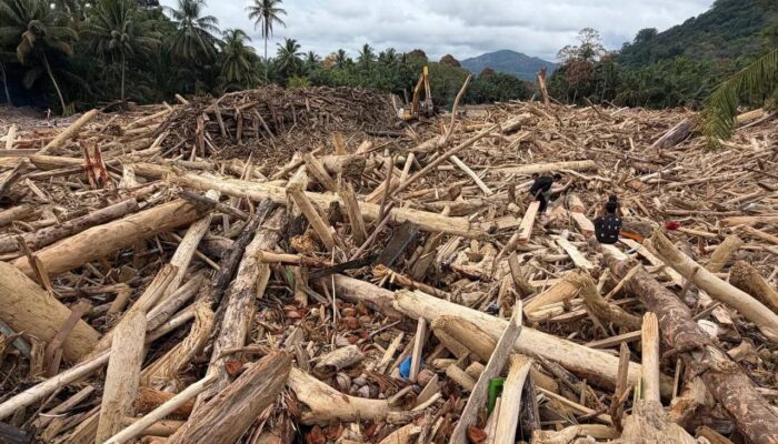 FB_IMG_1765180296661