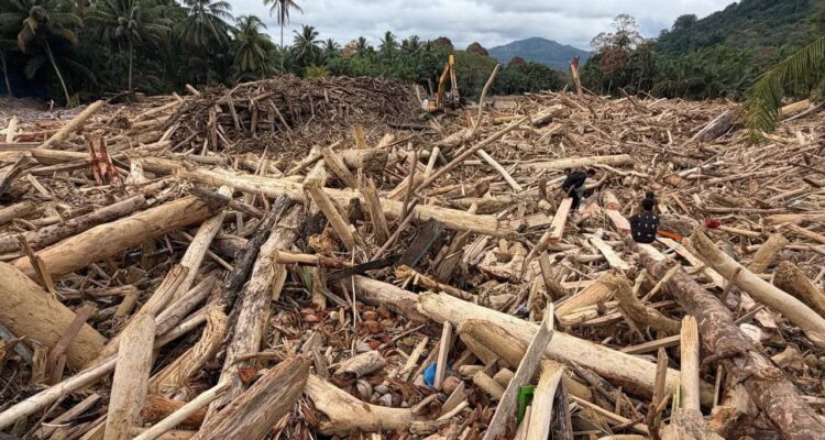 FB_IMG_1765180296661